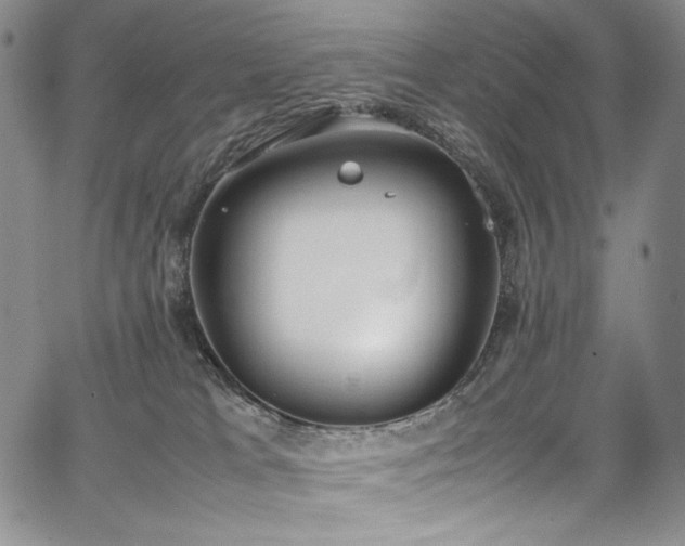 X0000067950037200604131446