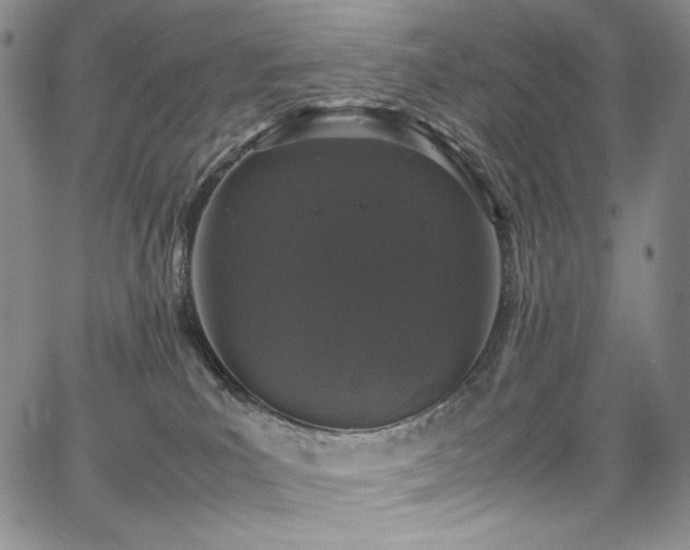 X0000067950039200604131446