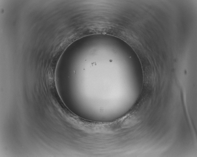 X0000067950040200604131446