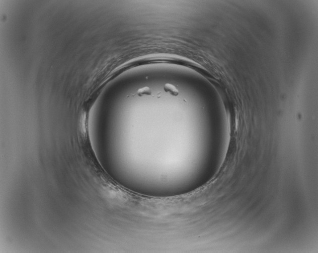 X0000067950041200604131446