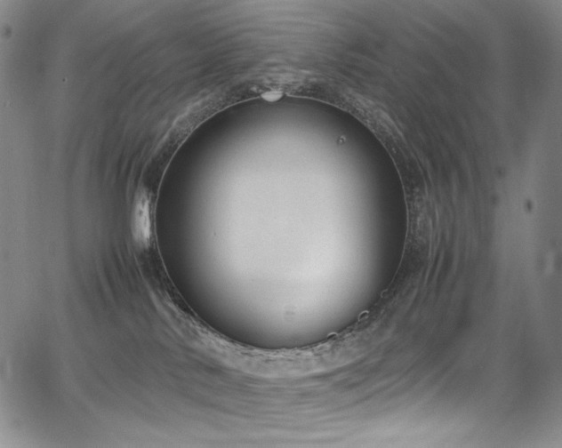 X0000067950042200604131446