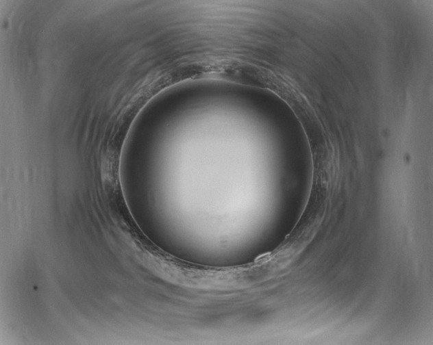 X0000067950044200604131446