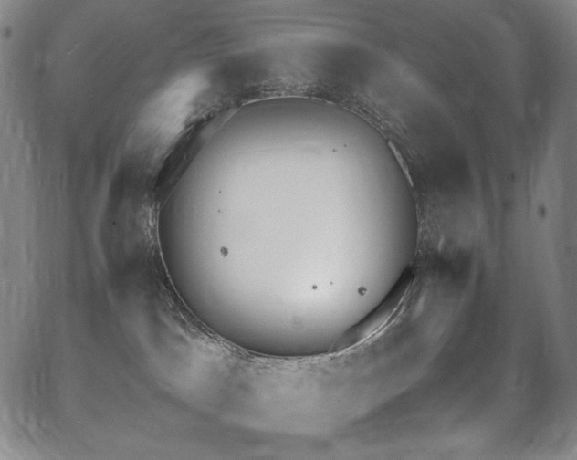 X0000067950045200604131446