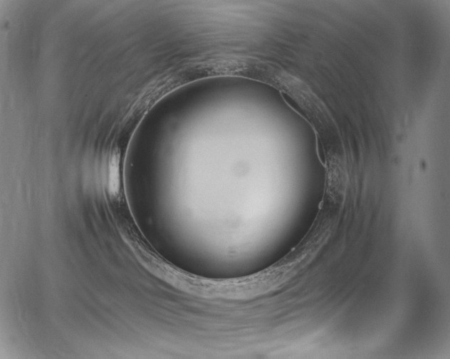 X0000067950046200604131446