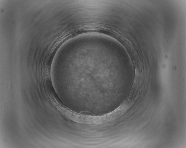 X0000067950048200604131446