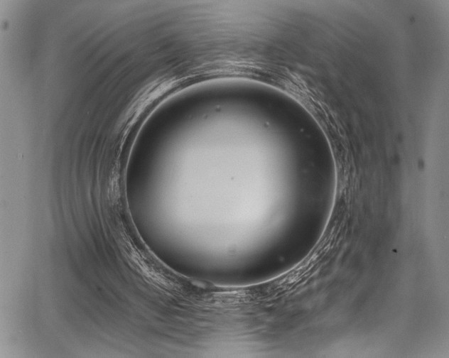 X0000067950050200604131446