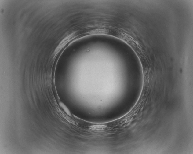 X0000067950051200604131446