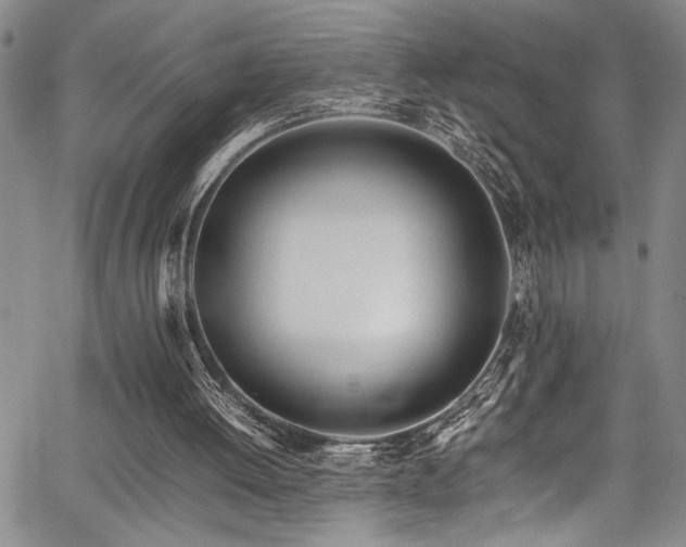 X0000067950052200604131446