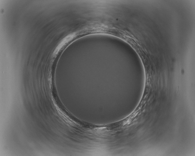 X0000067950054200604131446