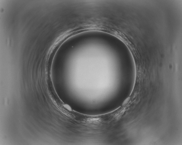 X0000067950055200604131446