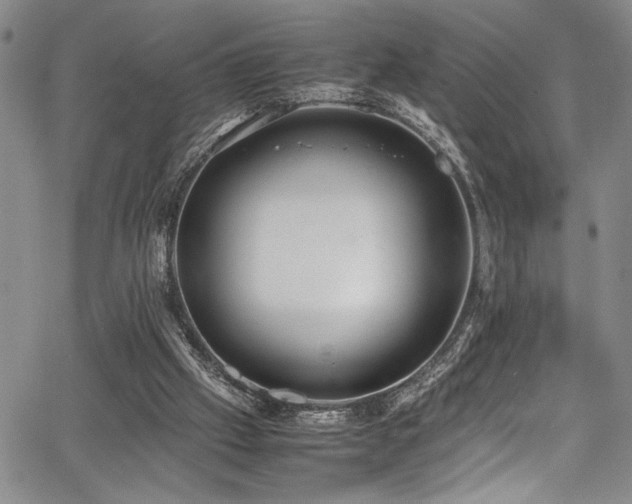 X0000067950057200604131446