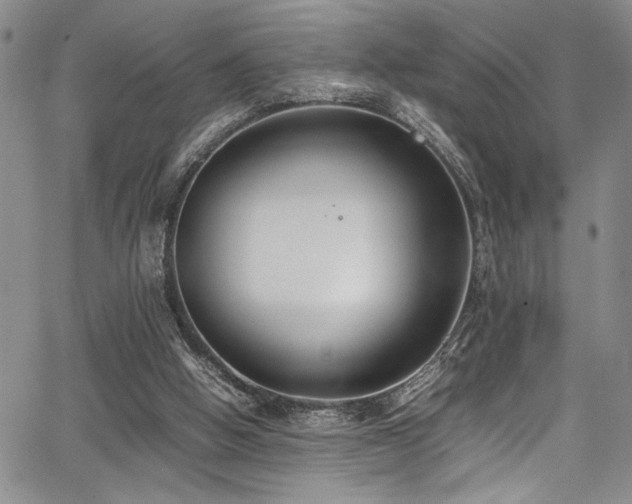 X0000067950058200604131446