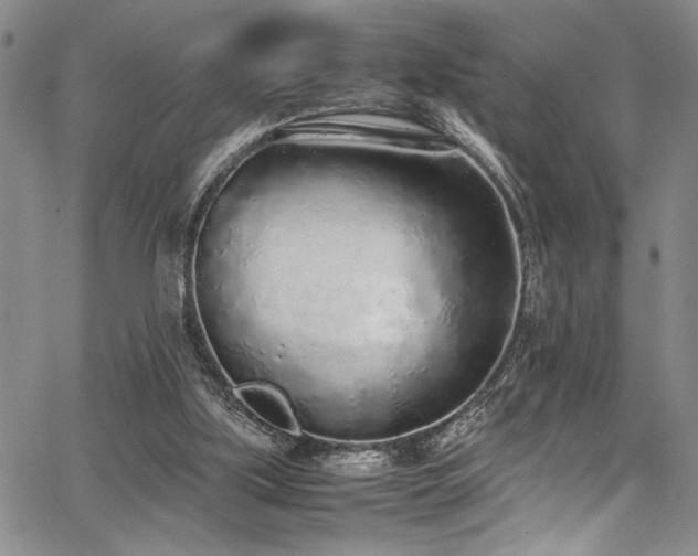 X0000067950059200604131446