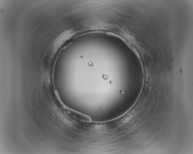 X0000067950060200604131446