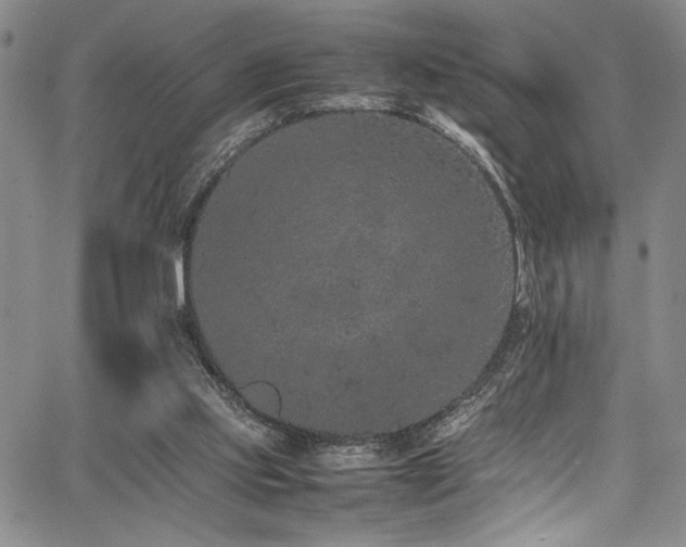 X0000067950061200604131446