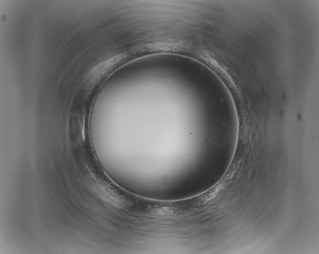 X0000067950062200604131446