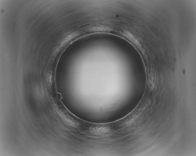 X0000067950063200604131446