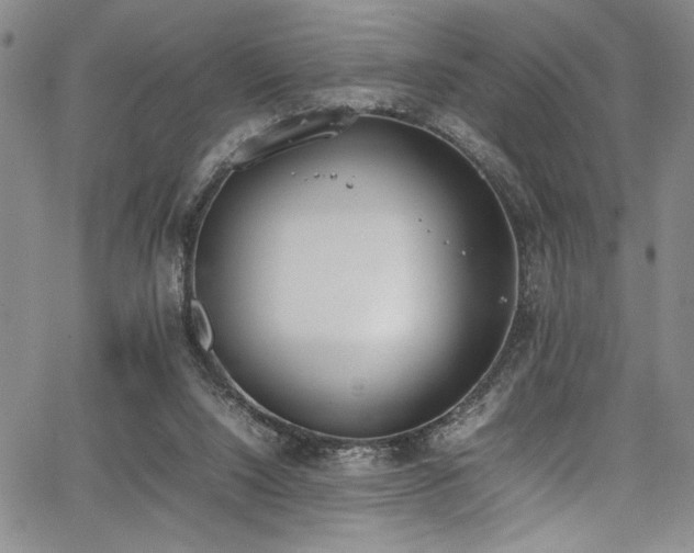 X0000067950064200604131446