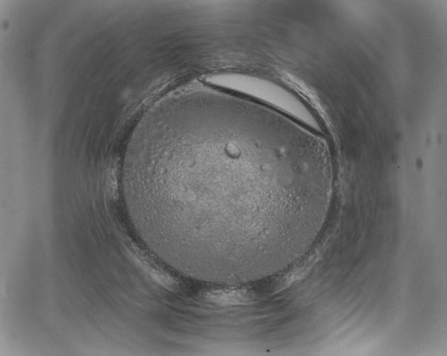 X0000067950065200604131446