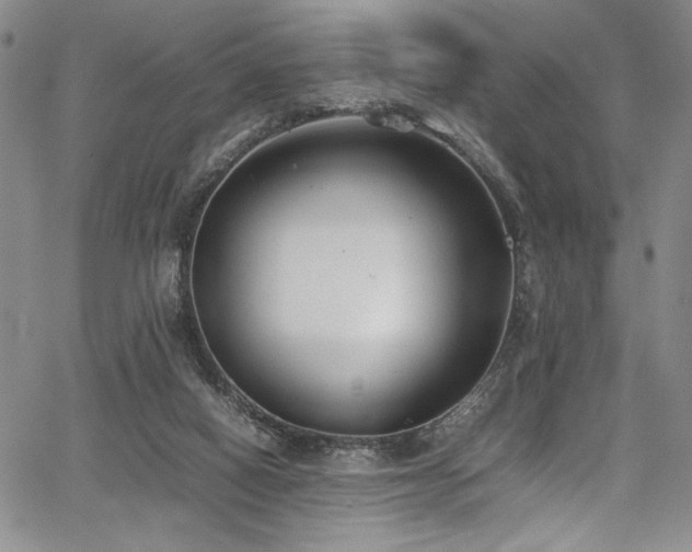 X0000067950066200604131446