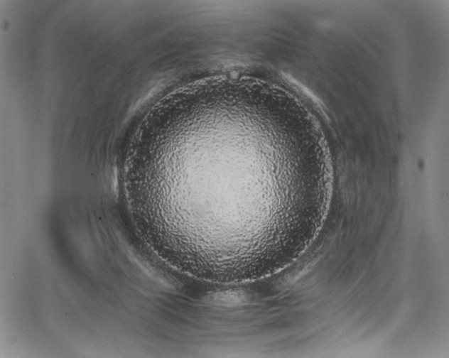 X0000067950067200604131446