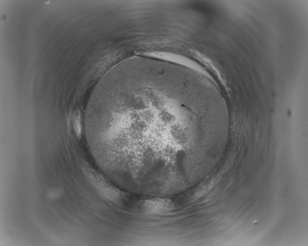 X0000067950069200604131446