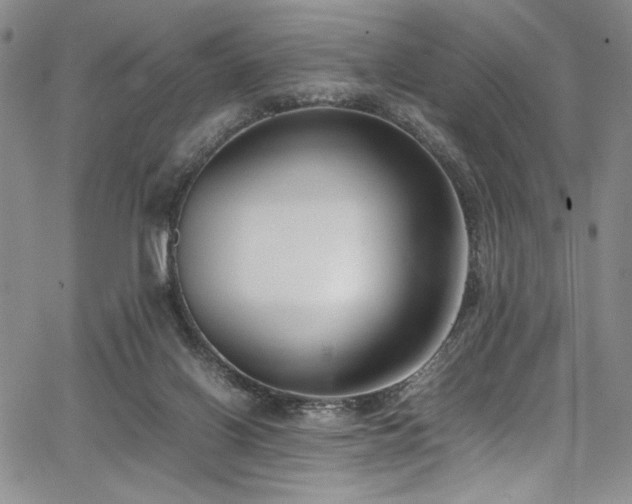 X0000067950070200604131446