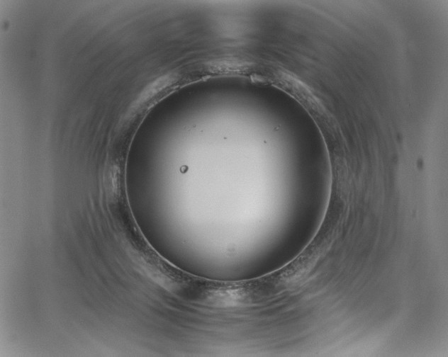 X0000067950071200604131446