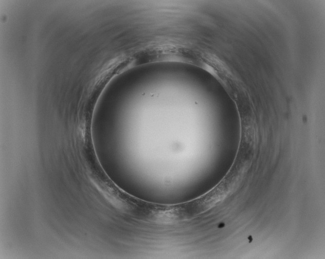 X0000067950072200604131446