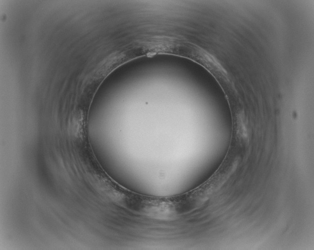 X0000067950073200604131446