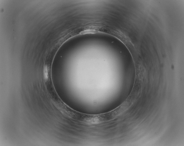 X0000067950075200604131446