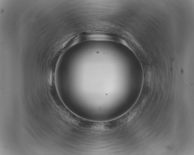 X0000067950076200604131446