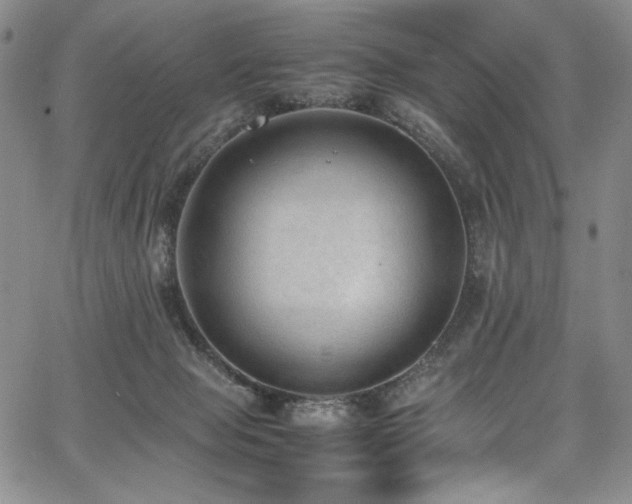 X0000067950077200604131446