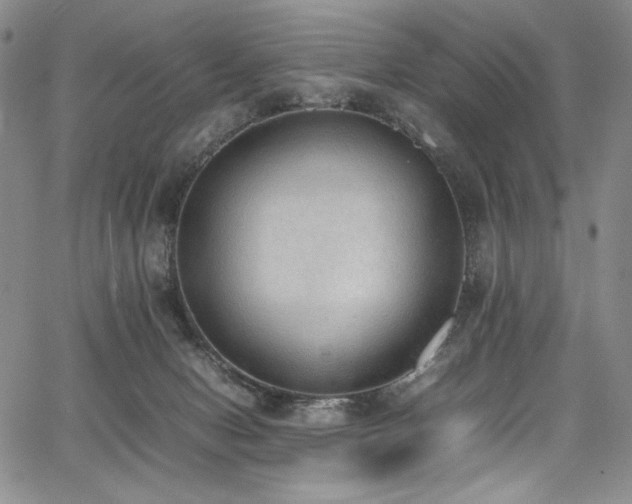 X0000067950078200604131446