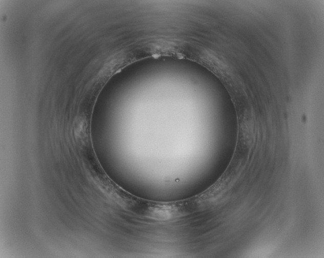 X0000067950079200604131446