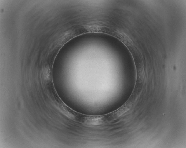 X0000067950081200604131446