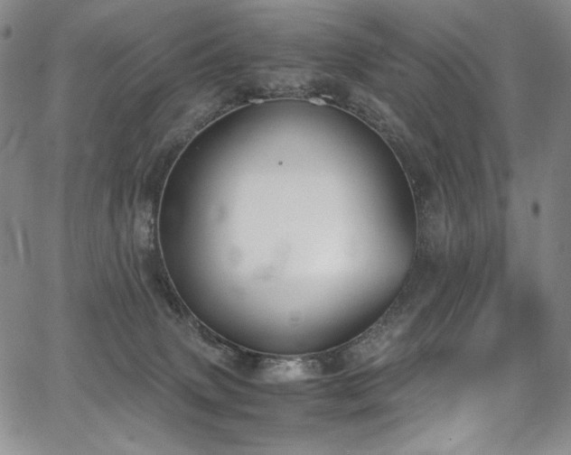 X0000067950083200604131446