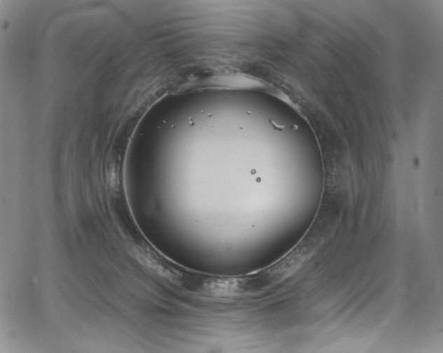 X0000067950084200604131446