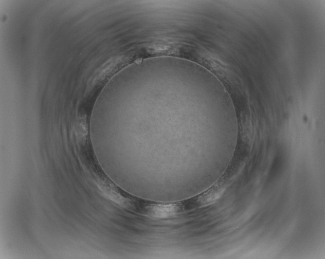 X0000067950085200604131446