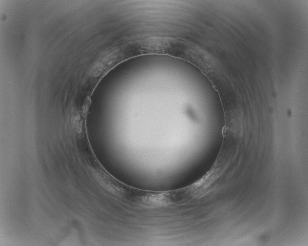 X0000067950086200604131446