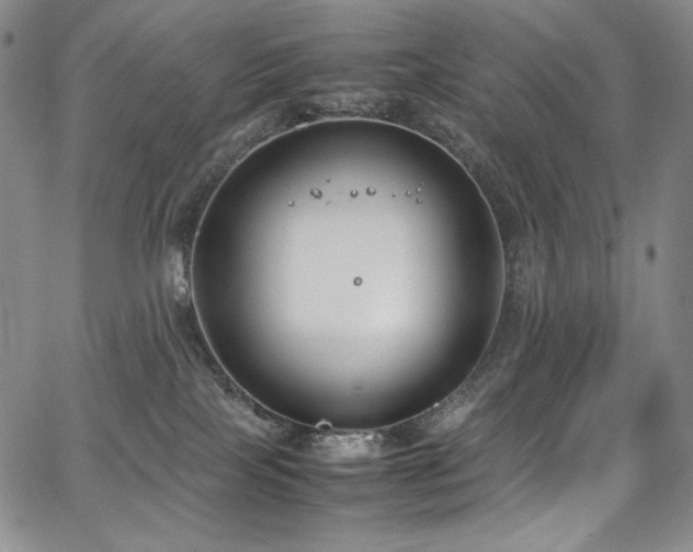 X0000067950089200604131446