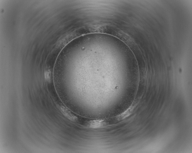 X0000067950090200604131446