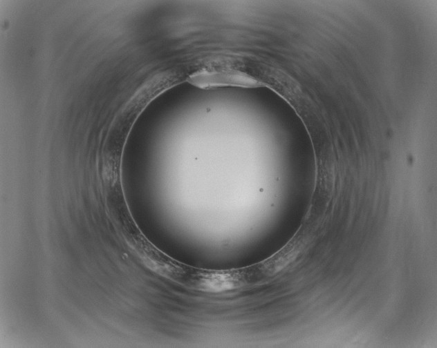 X0000067950091200604131446