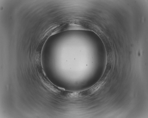 X0000067950092200604131446