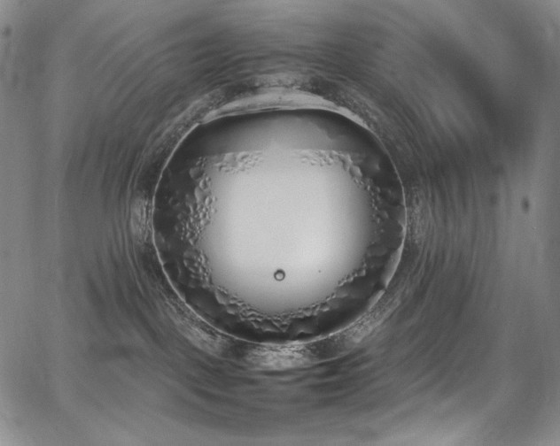 X0000067950093200604131446