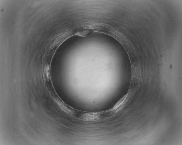 X0000067950094200604131446