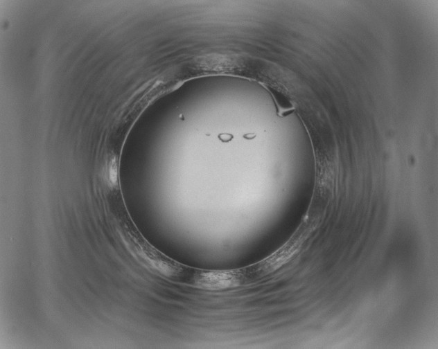 X0000067950095200604131446