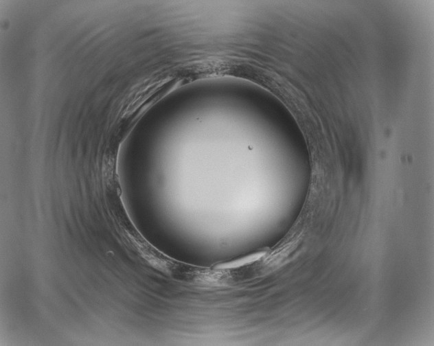 X0000067950096200604131446