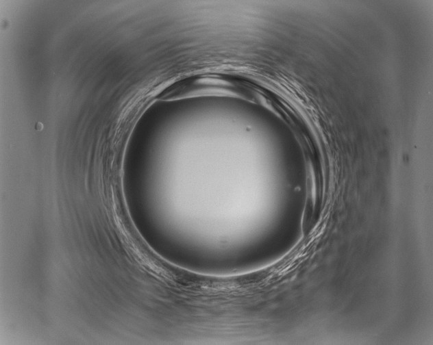 X0000067950097200604131446