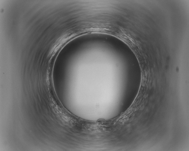 X0000067950098200604131445